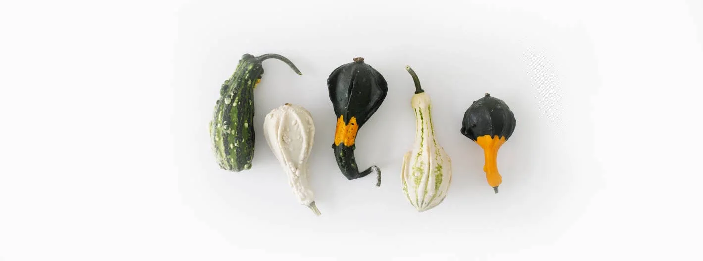 Arriva un Workshop in Food Photography: pronti a scattare?
