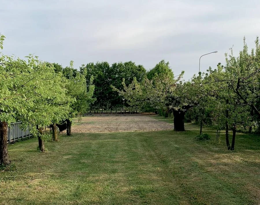 giardino_cadememi.jpg