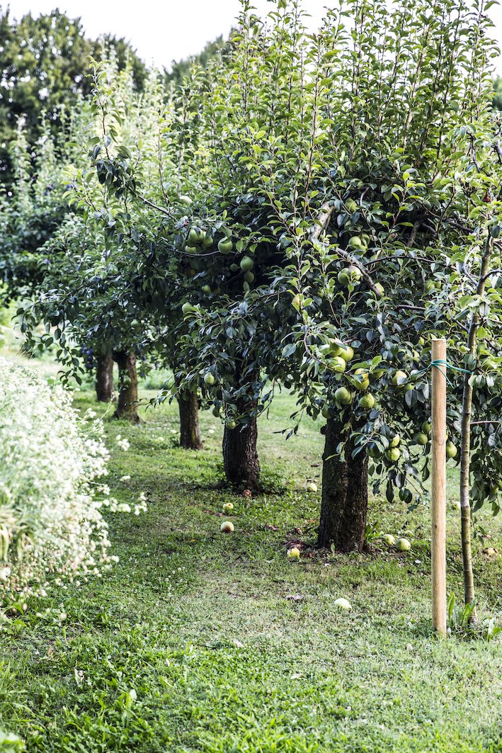  I piedi nella terra, lo spirito nel mondo    Veneto: scopri l’inaspettato     Il nostro territorio  