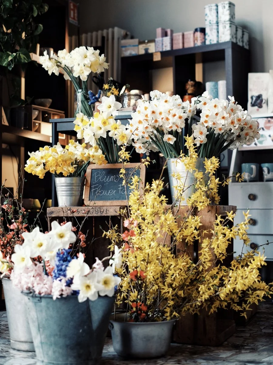 Blums post instagram.003.jpeg