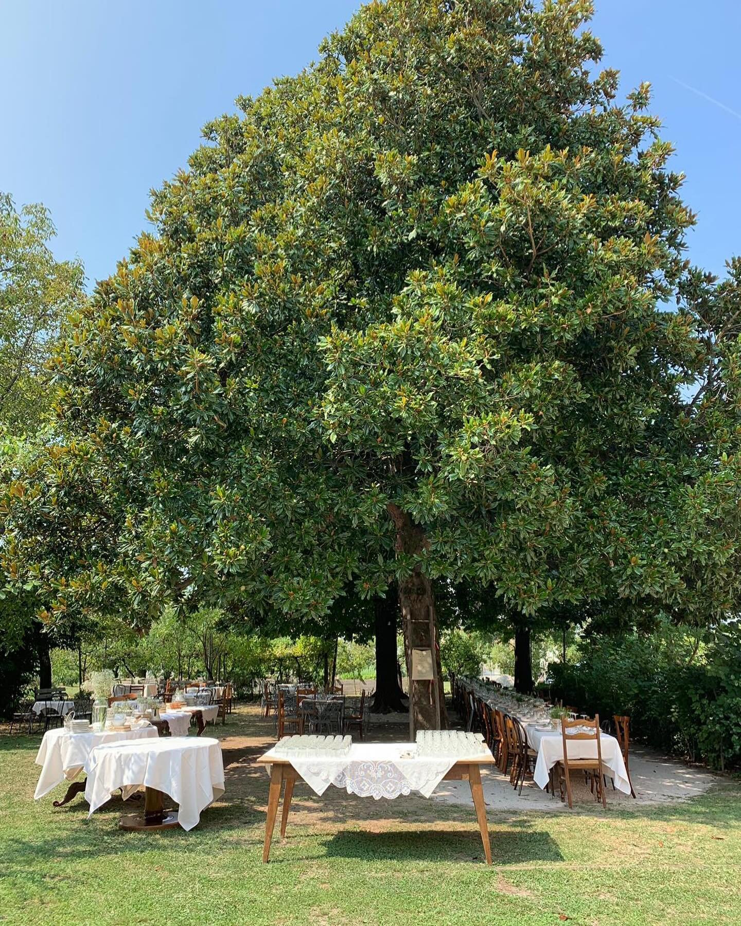 Sotto la nostra magnolia centenaria si mangia, si ride, si fa festa. 
La primavera sta riempiendo di verde il giardino e si pu&ograve; cominciare a immaginare il relax all&rsquo;ombra degli alberi. 
Proprio dietro la siepe si nasconde la super piscin