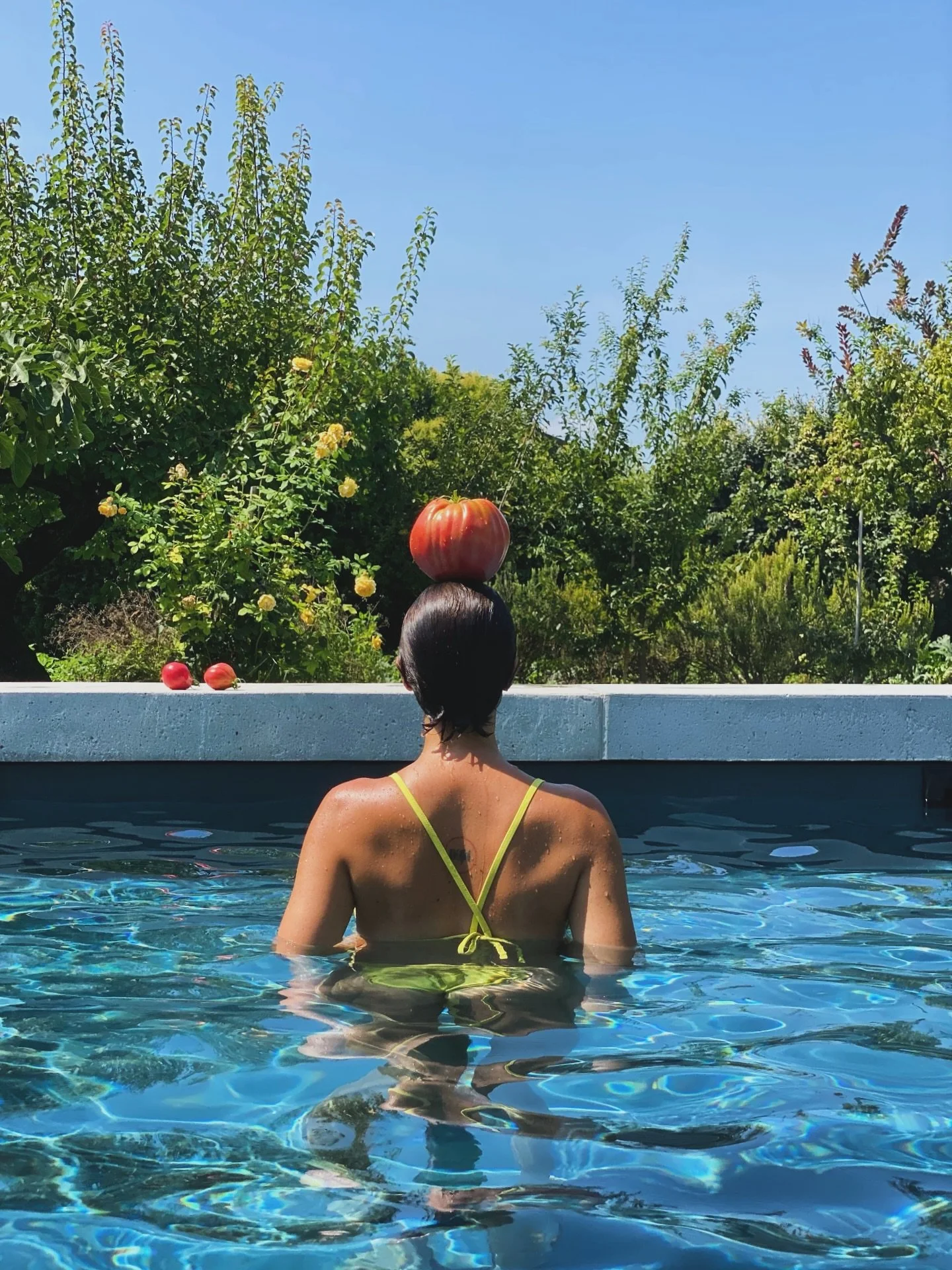 La Piscina nell&rsquo;Orto nasce con una duplice idea: un&rsquo;idea contemplativa, per agevolare la scoperta dell&rsquo;orto e delle piante, dando la possibilit&agrave; di osservare le fasi della natura che si modifica e cambia con le stagioni, e un