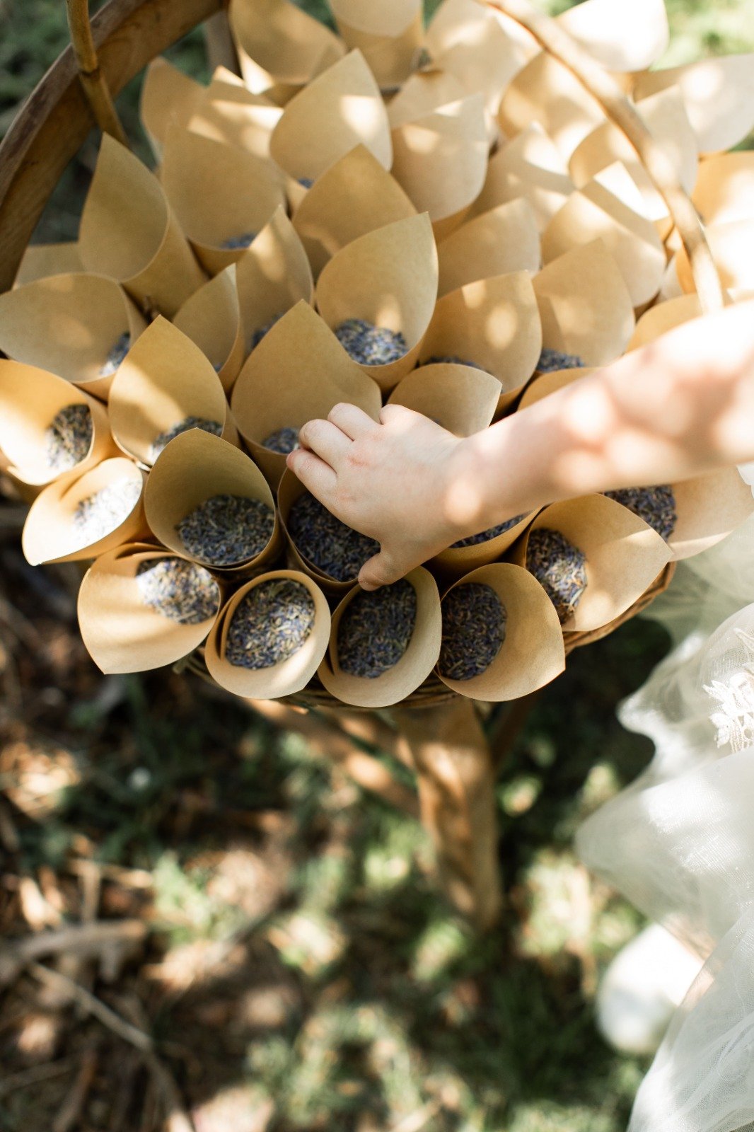 WhatsApp Image 2025-08-15 at 18.23.09 (1).jpeg