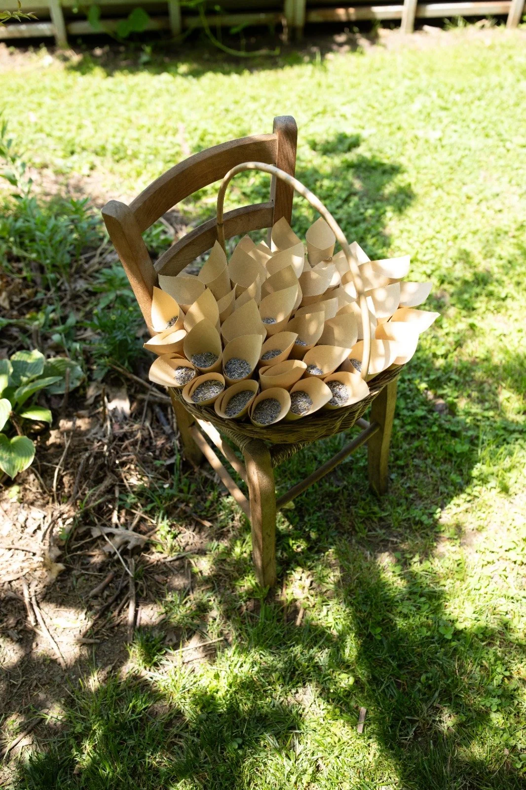 WhatsApp Image 2025-08-15 at 18.23.09.jpeg