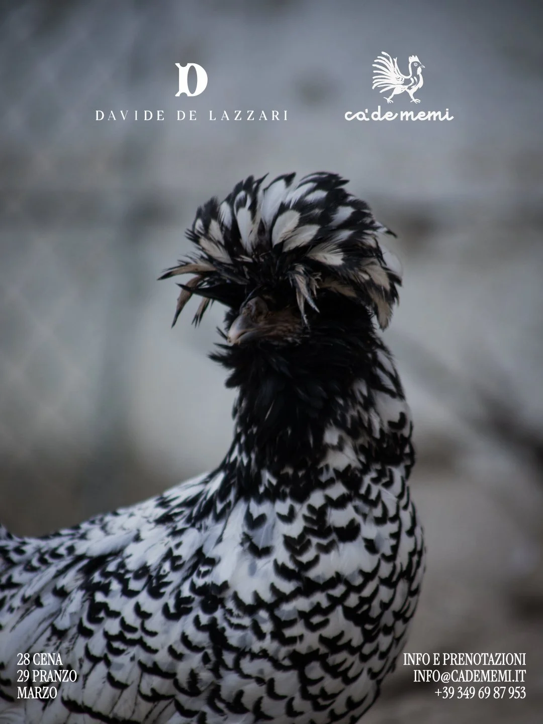 PIANURA EVENTO De Lazzari Ca de Memi.049.jpeg