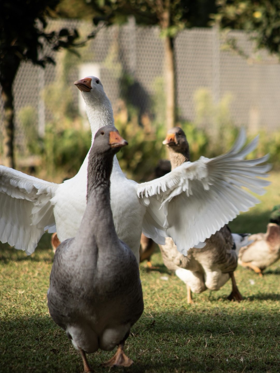 PIANURA EVENTO De Lazzari Ca de Memi.026.jpeg