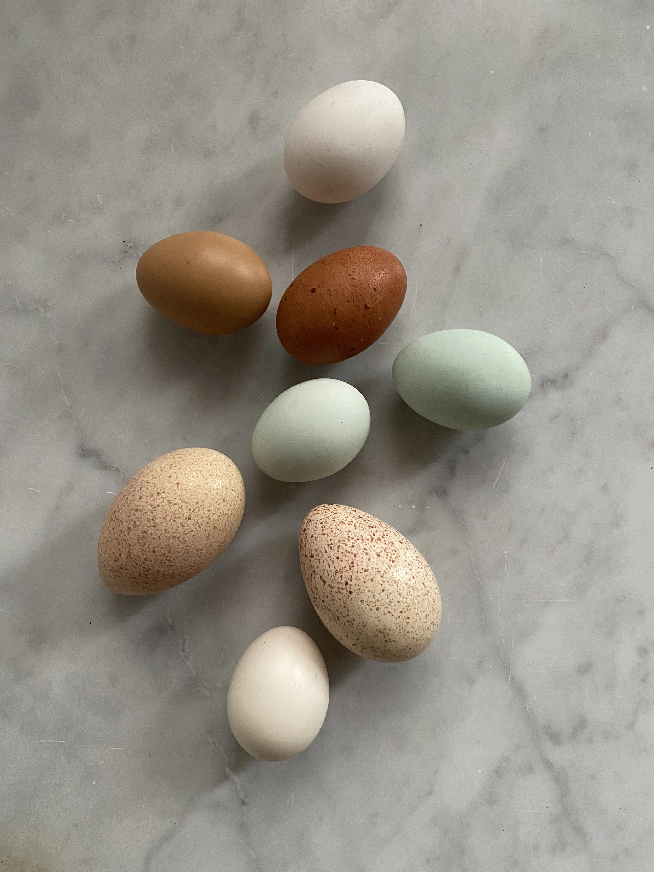 Il Brunch del Sabato • 11 Aprile