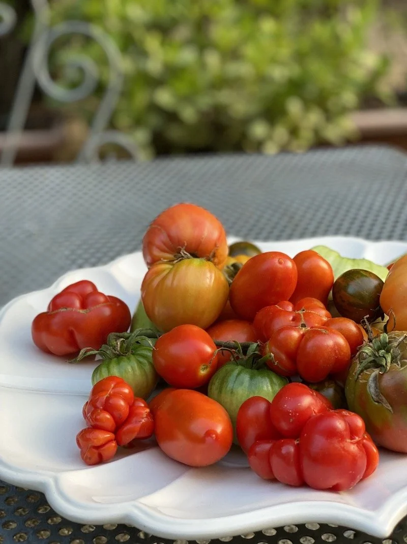 pomodoro13.jpeg
