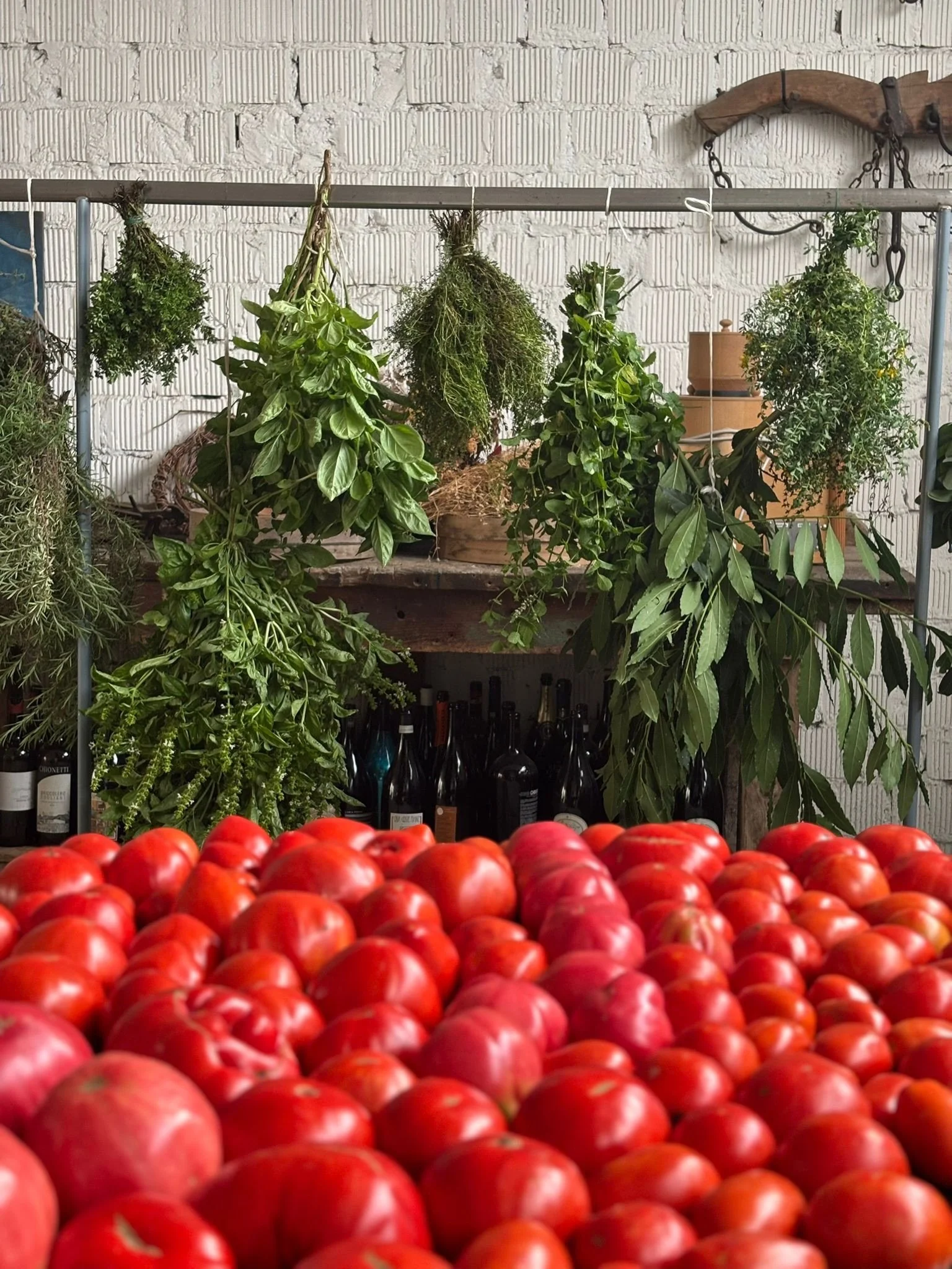 Variazioni sul tema 🍅

#tomato #cadememi #summer #italy