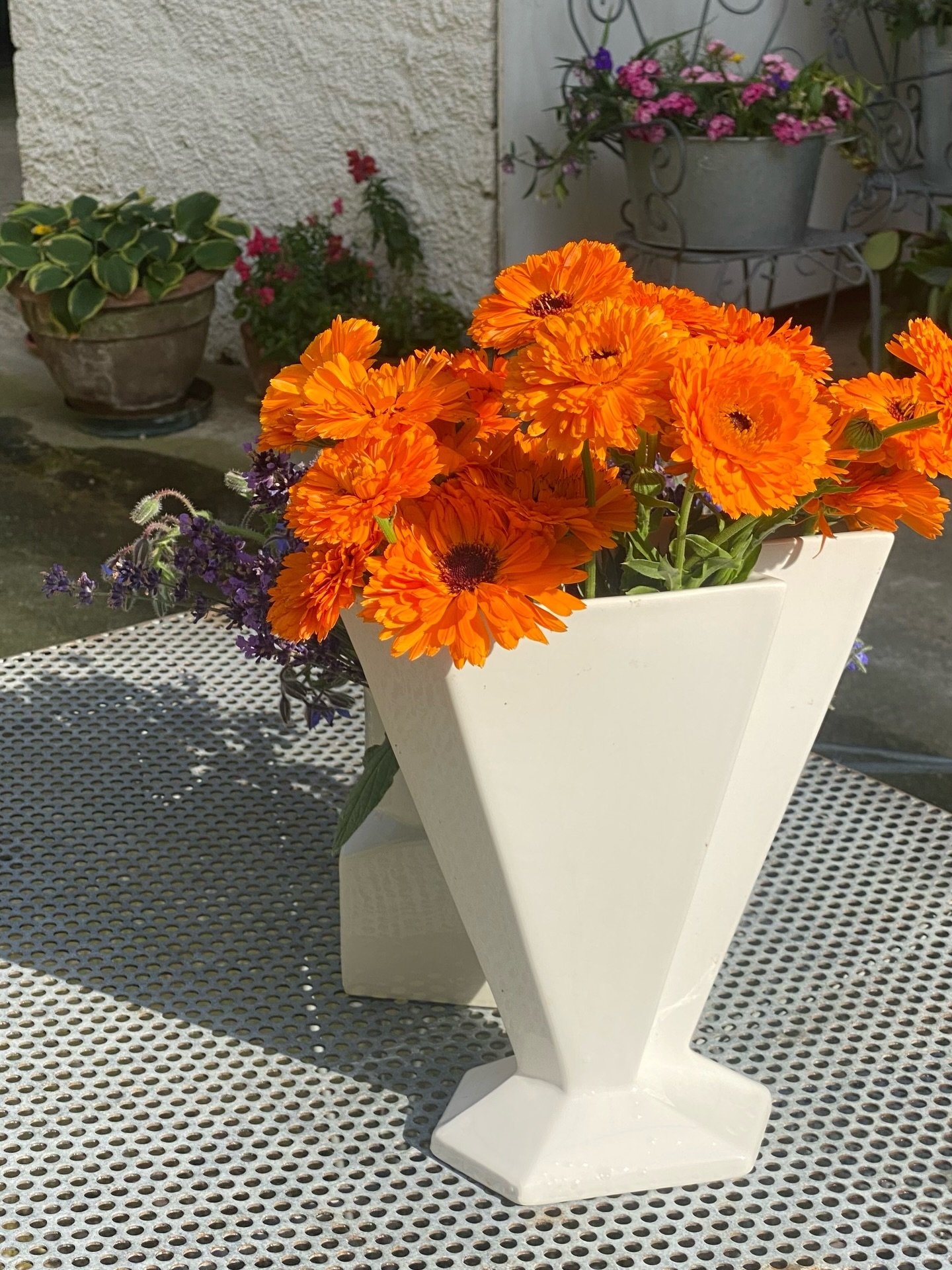 La primavera &egrave; arrivata e gi&agrave; pregustiamo l&rsquo;estate. 🥬🍅🫛

A Ca&rsquo; de Memi l&rsquo;orto &egrave; quasi pronto per la stagione: iniziamo a raccogliere le prime verdure, che entrano subito nelle proposte del ristorante, nelle c