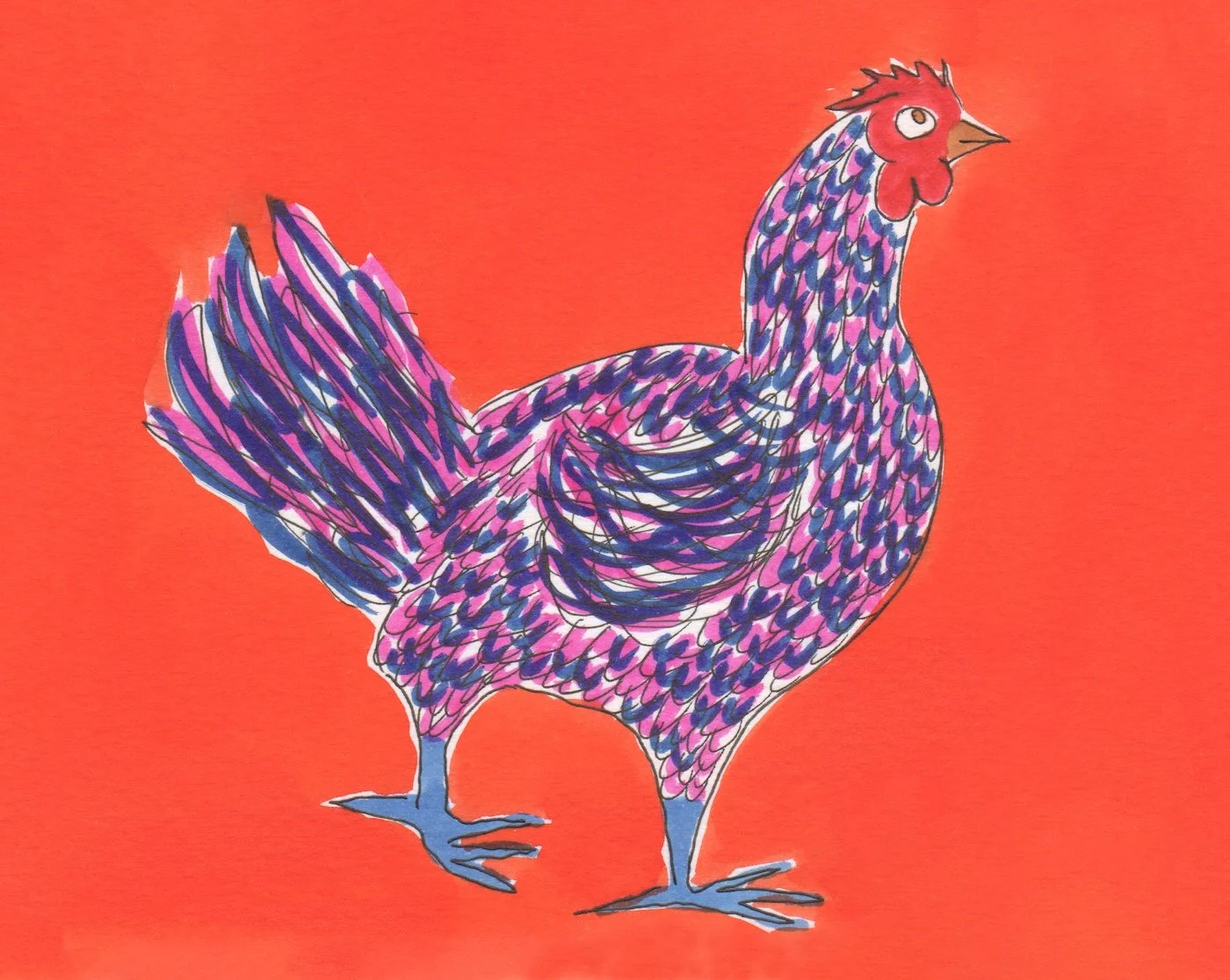 Gallina GIROTONDO.jpg