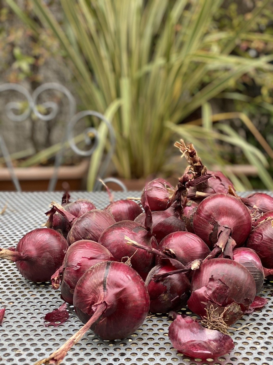 Cipolle Rosse a Ca' de Memi
