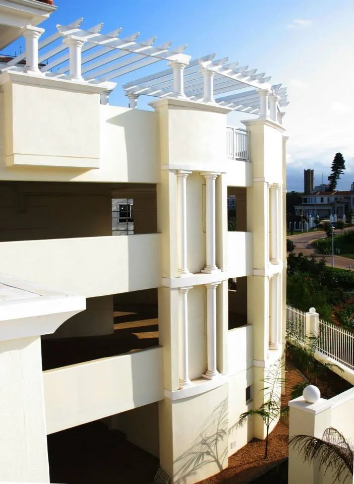 Ilala Palms