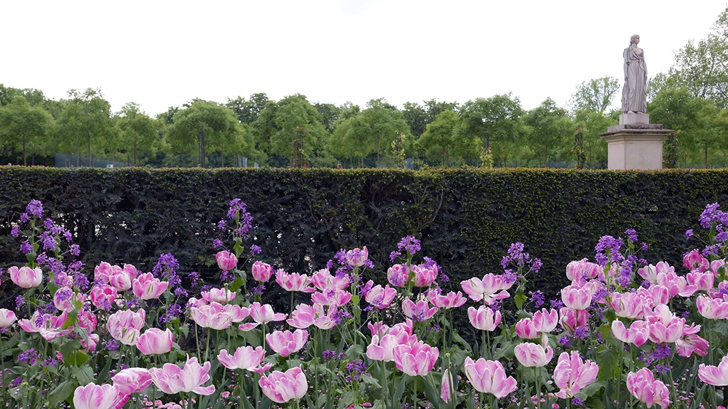 Luxembourg gardens.jpg
