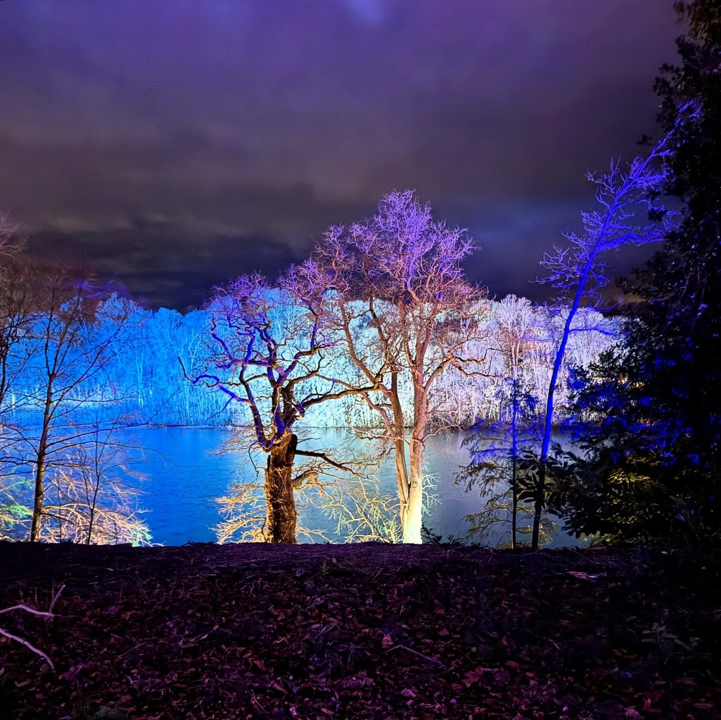 Wishing everyone the most magical, luminous and colourful New Year 2025 🌟✨🌈