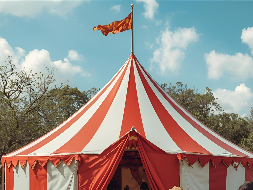 Carnival of the Animals Concert