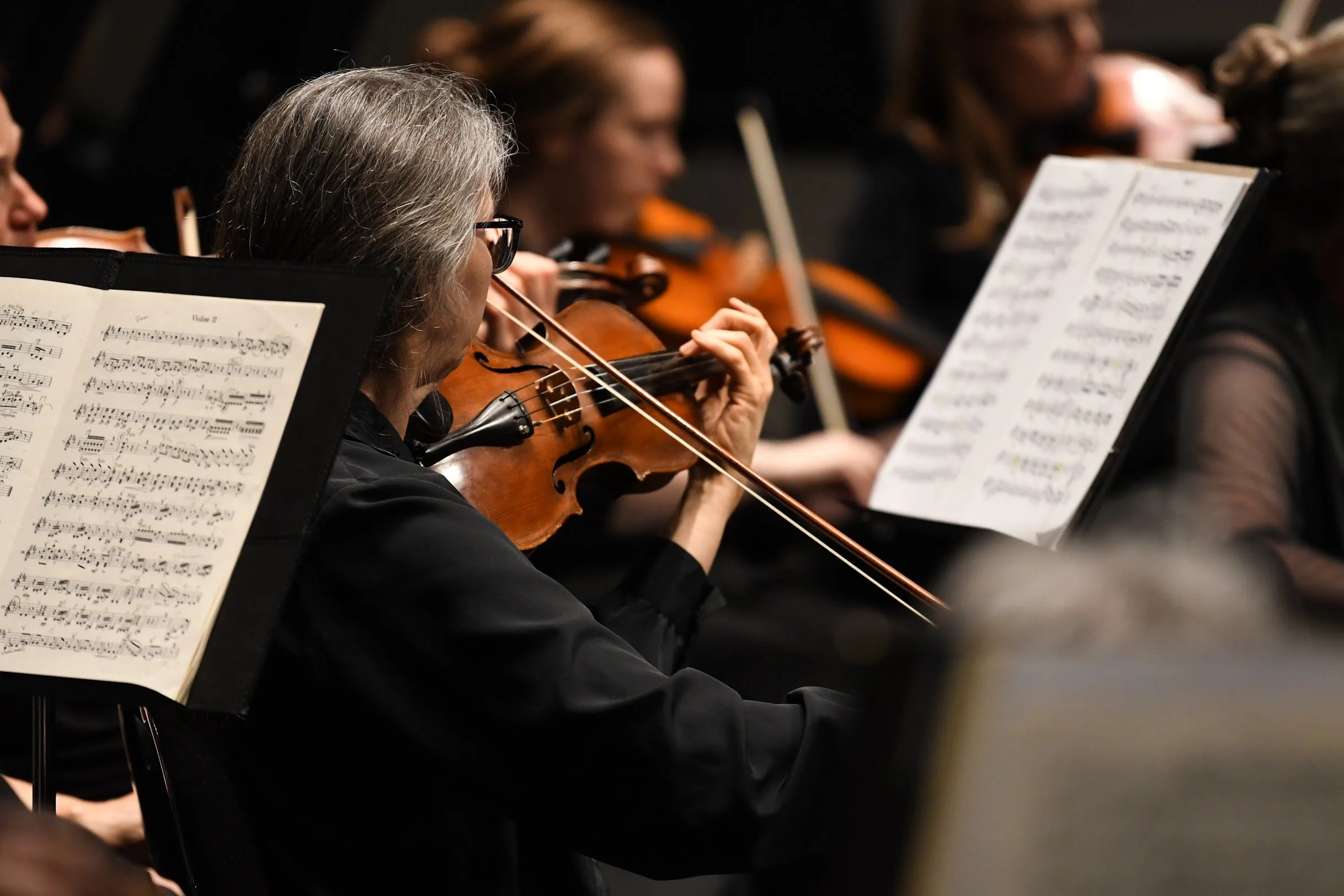 Timeless Treasures Pics NA (13).JPG