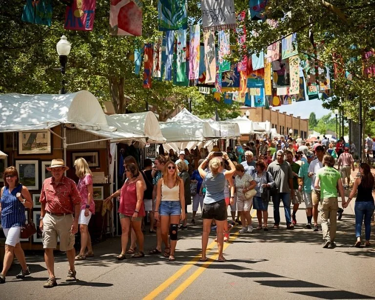 Arts Fest: NVS Petting Zoo