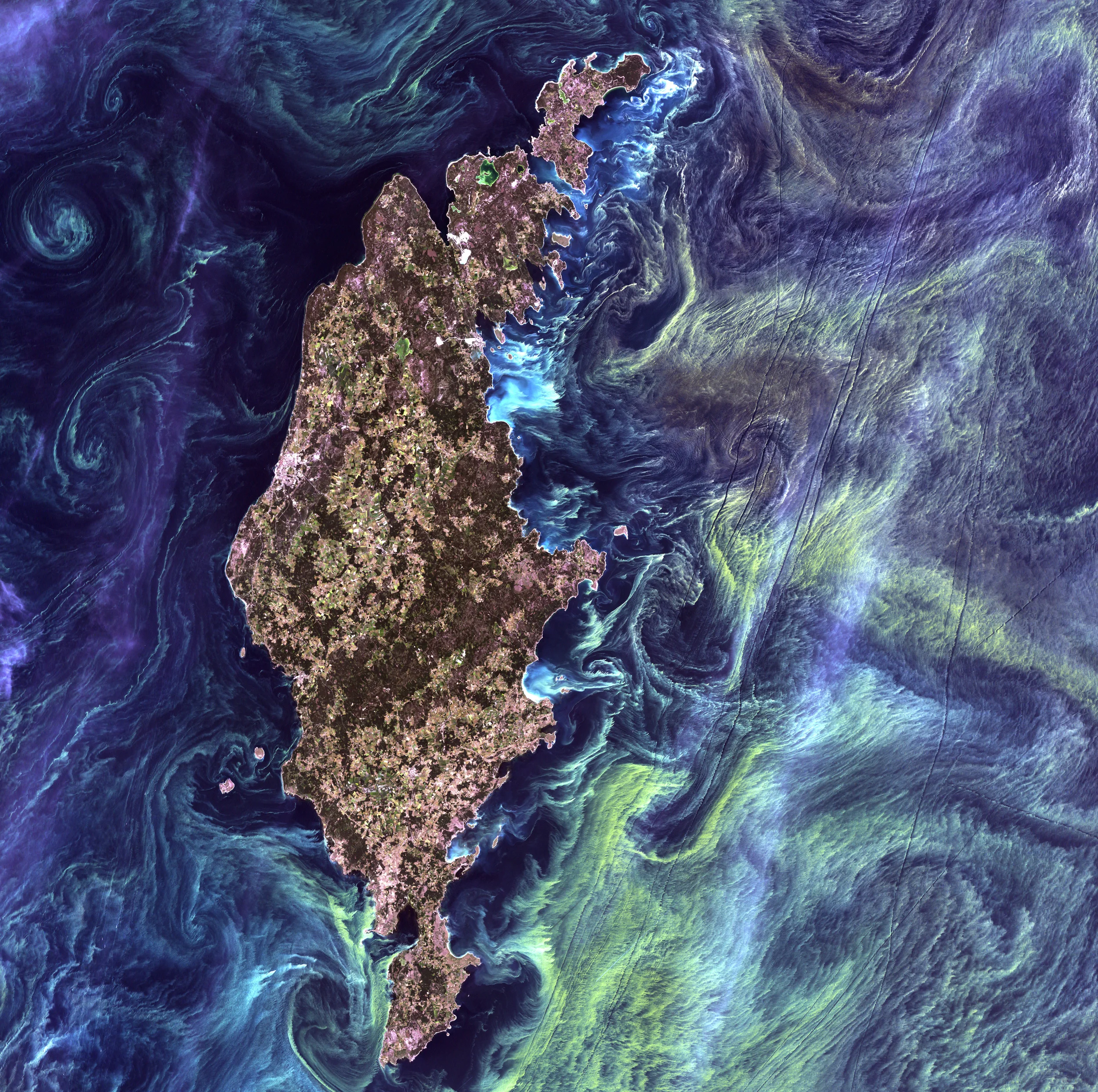 Van_Gogh_from_Space.jpg