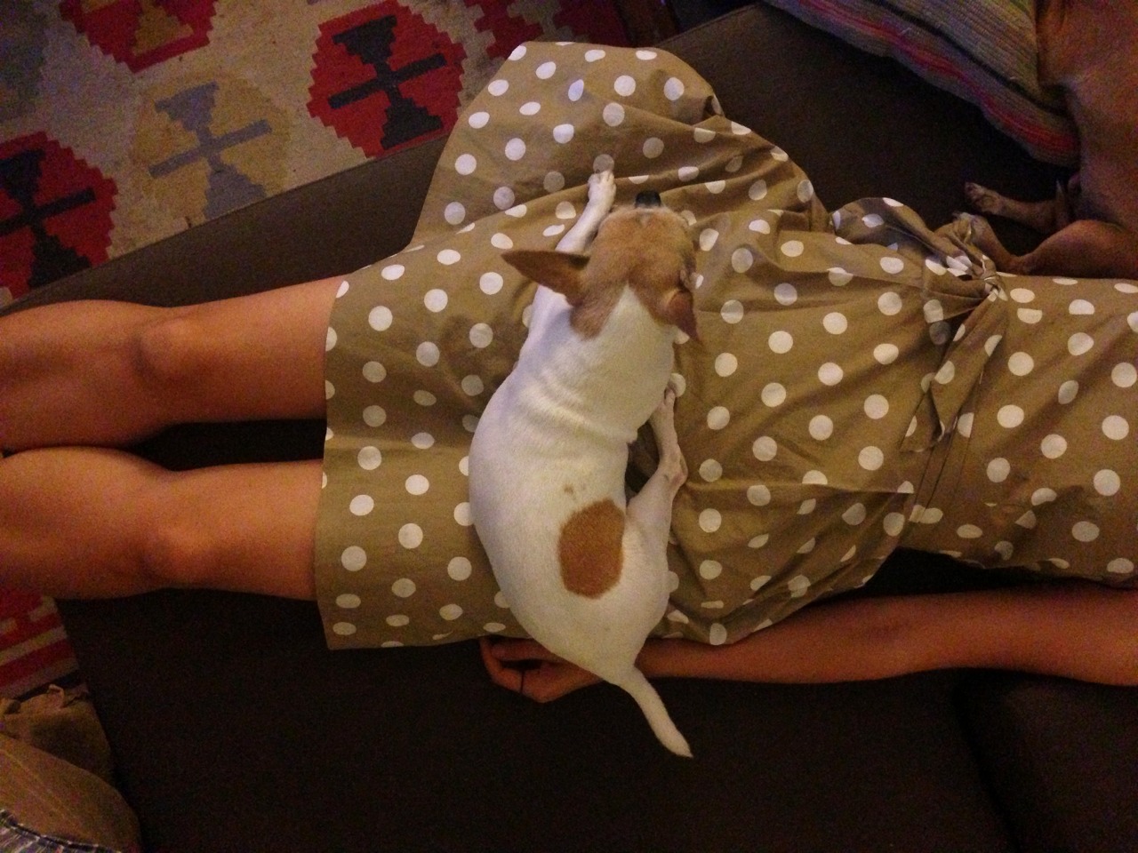 It&#8217;s not easy being green&#8230;but polka dots help.