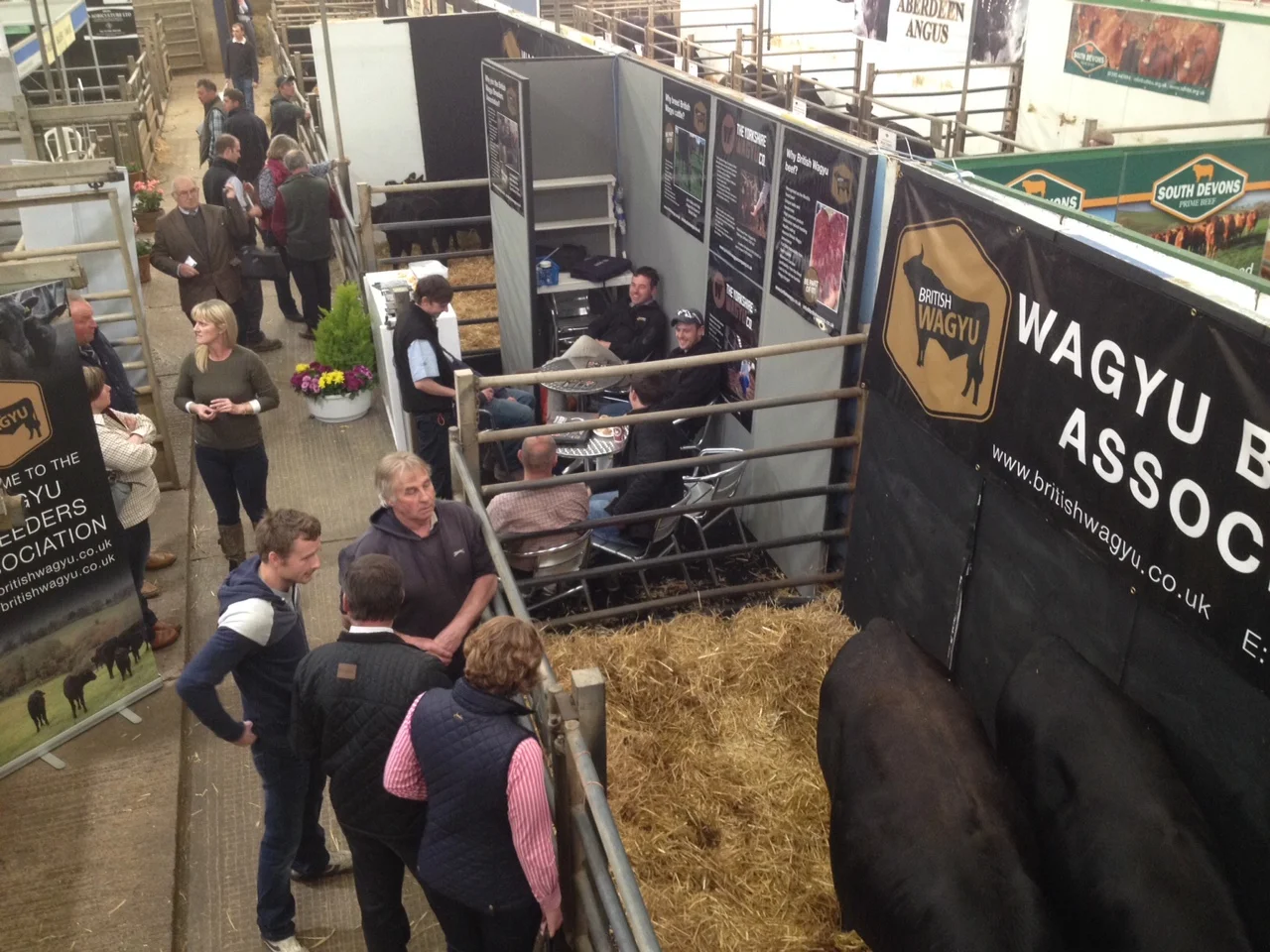 Wagyu Stand at Beef Expo.JPG