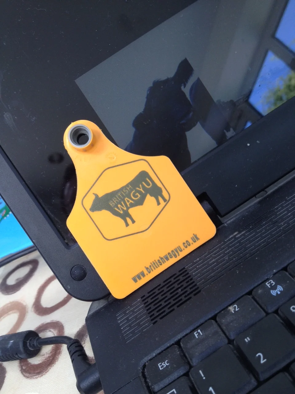 Wagyu Interface Goes Live