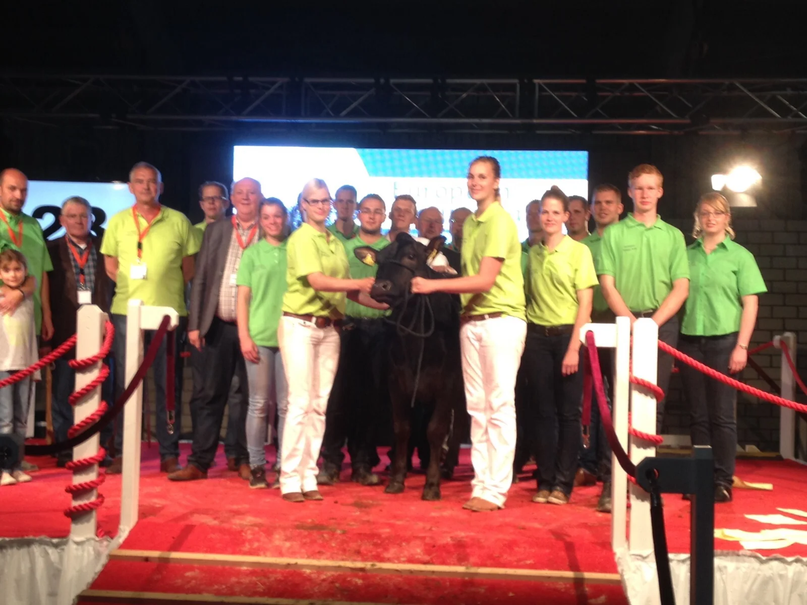 27,500 EURO IN-CALF HEIFER TOPS EUROPEAN WAGYU GALA