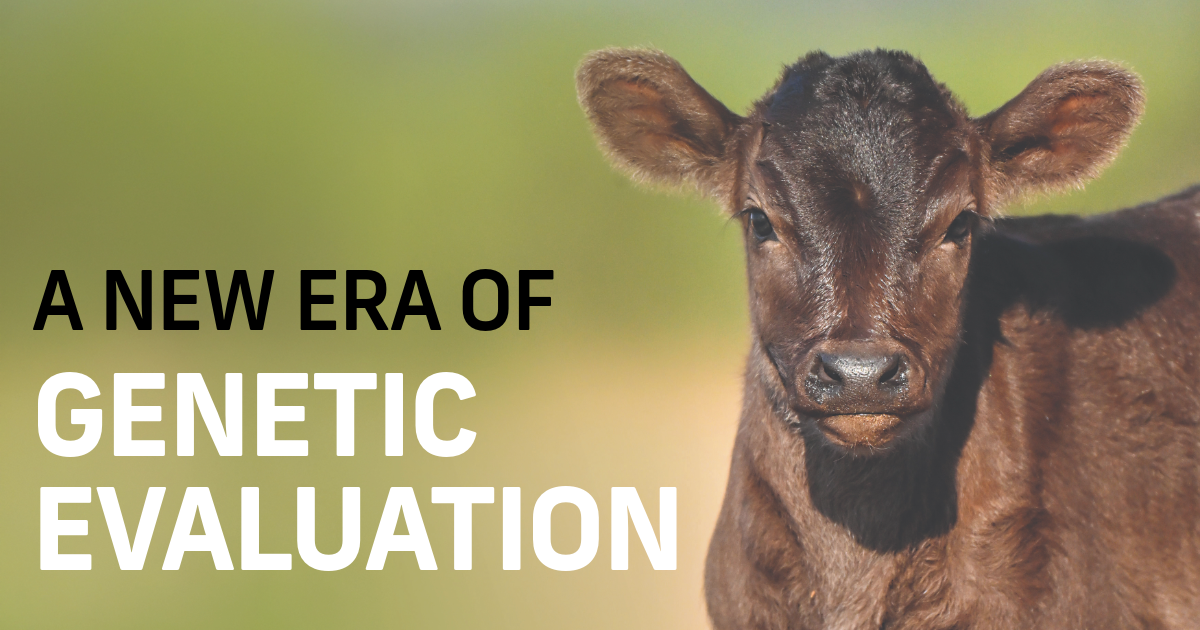 2026 HERALDS NEW ERA OF WAGYU GENETIC EVALUATION 