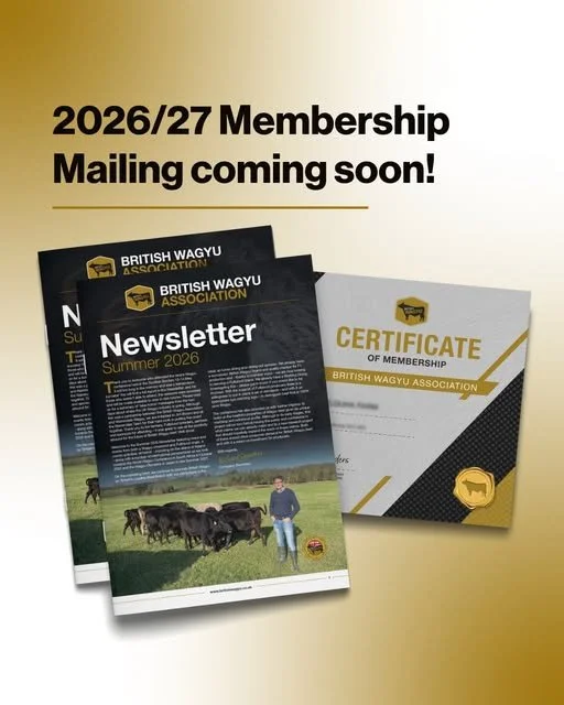 SUMMER NEWSLETTER OUT NOW!