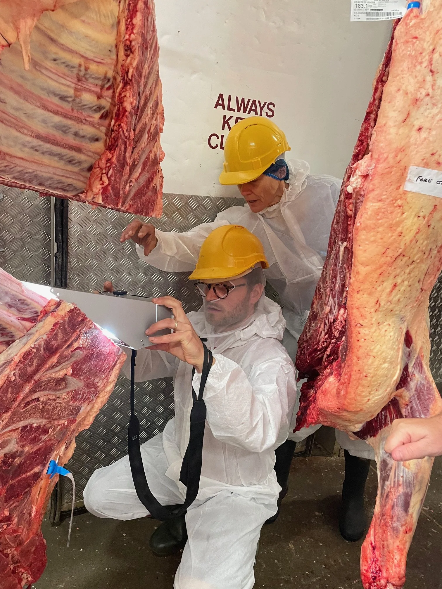 ROLL-OUT OF NEW BRITISH WAGYU MIJ CLUSTER IN NORFOLK