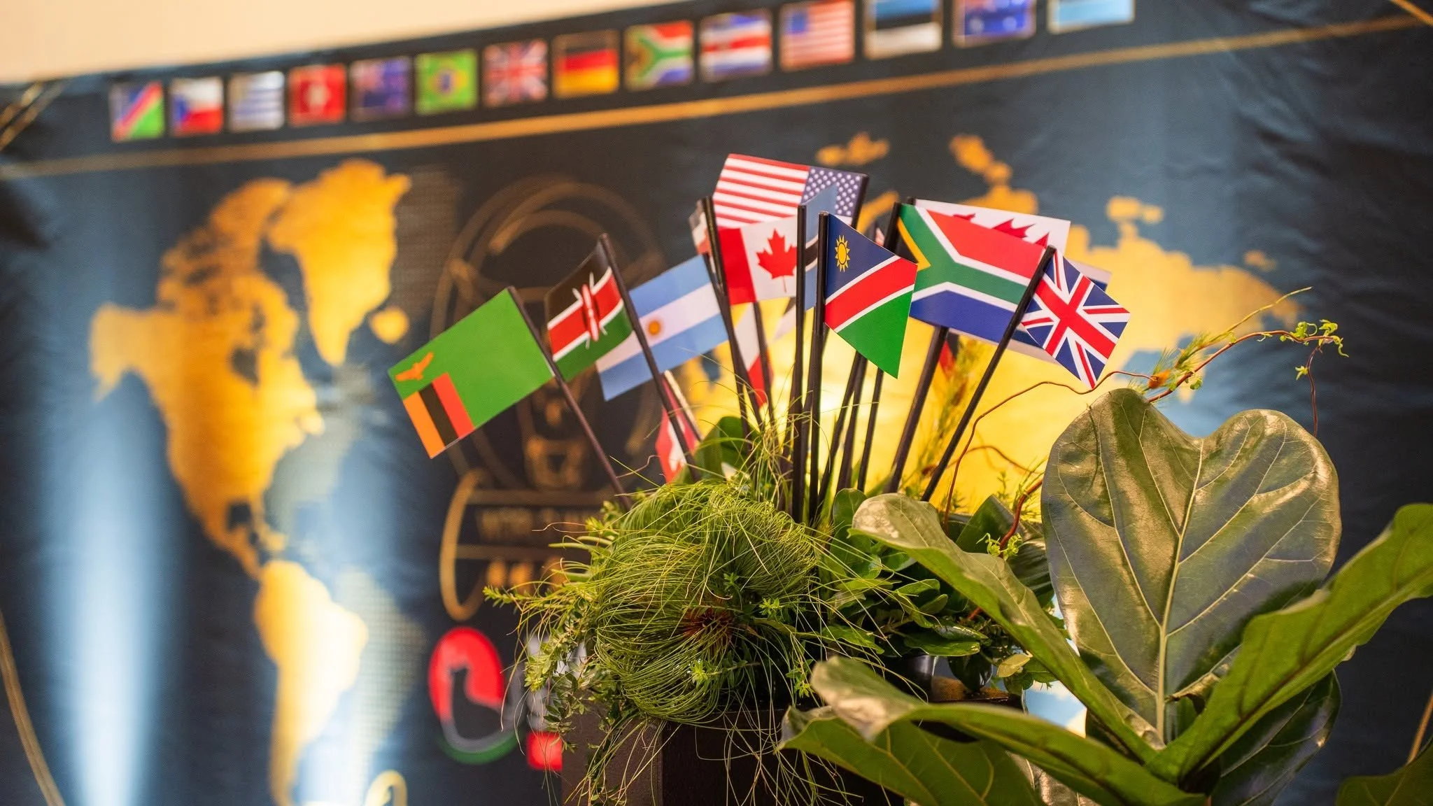 WORLD WAGYU CONFERENCE 13-14 OCTOBER - REPORT &amp; PICTURES