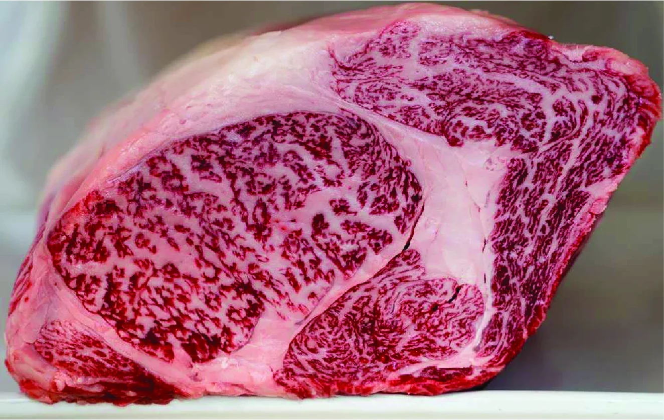 Wagyu health