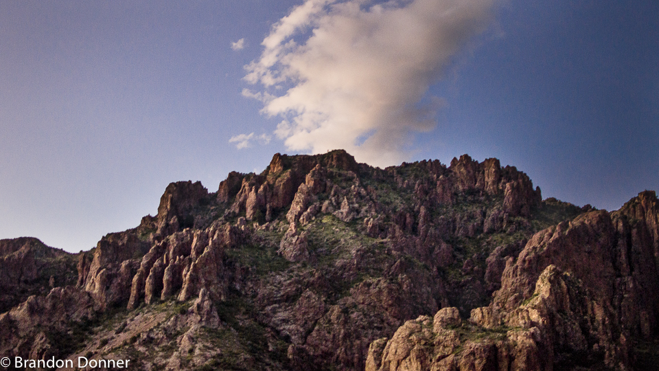 _DSC2953-Edit.jpg
