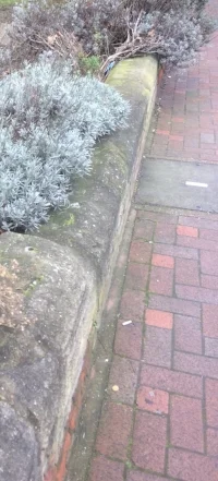 The brickwork pavement in Feb 17. Pretty good condition, no? Gone. A memory.