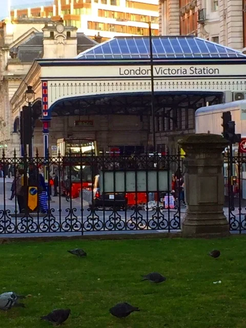 Pigeons. Victoria Station.