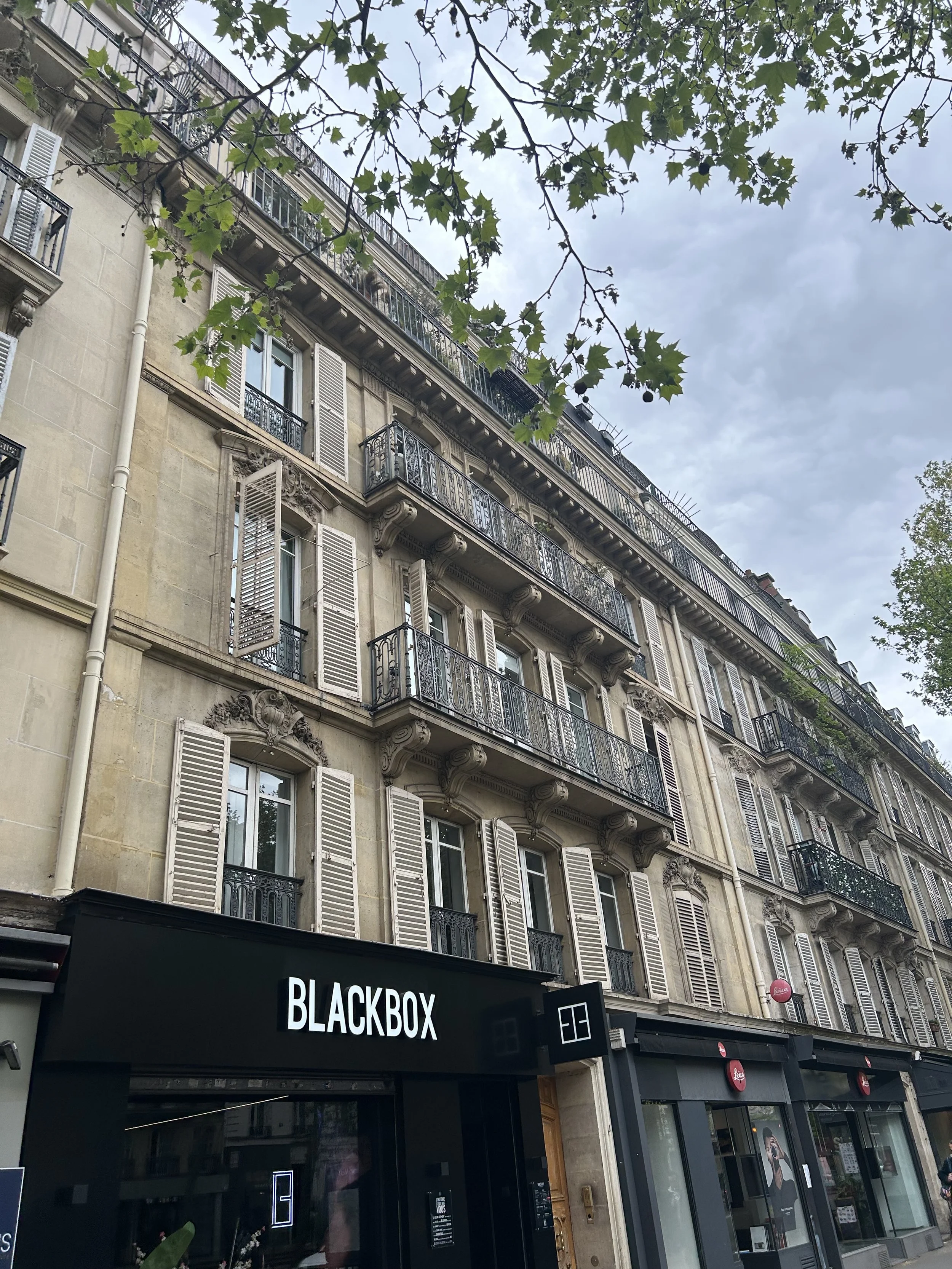Haussmann Building