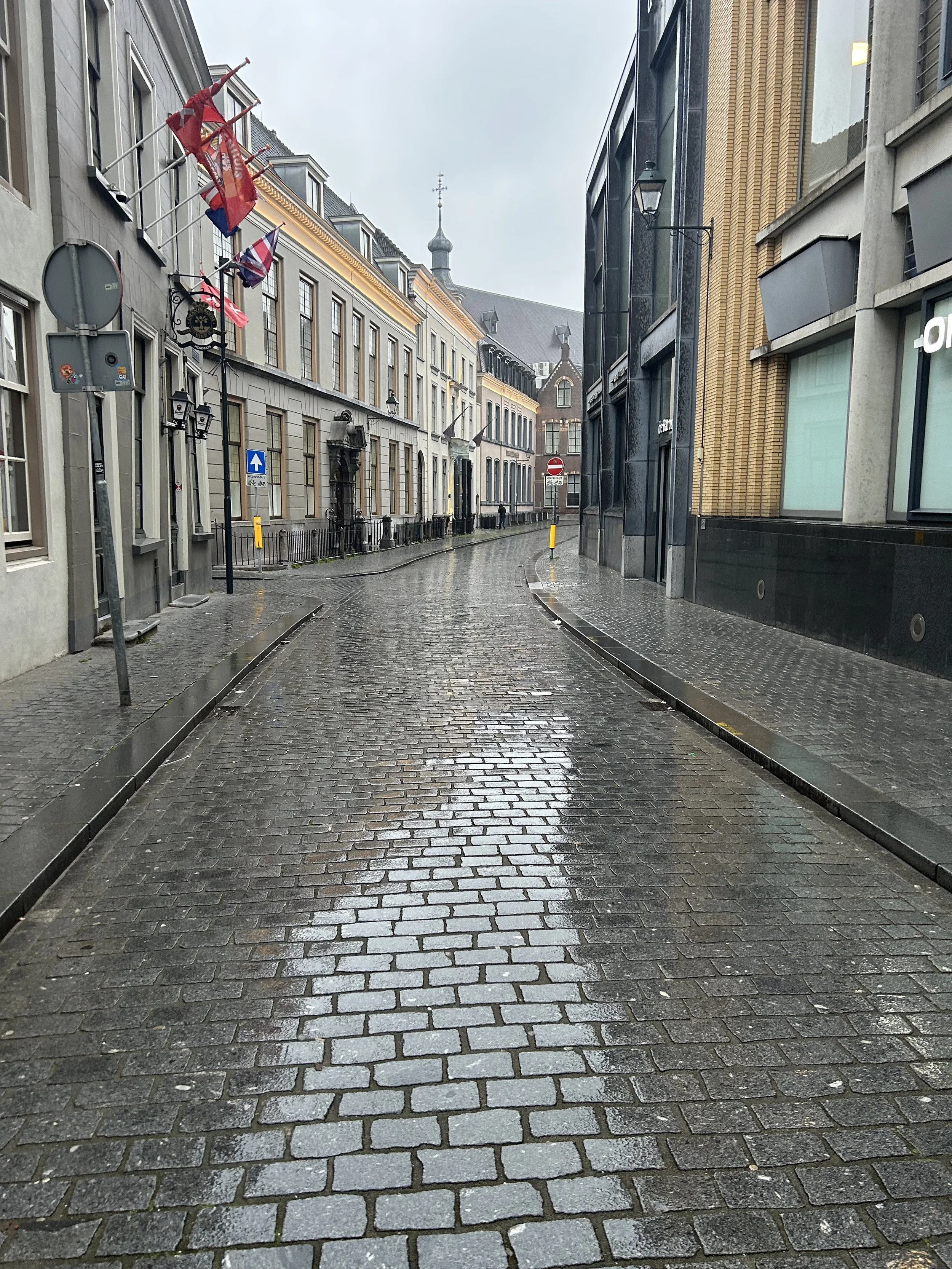 IMG_4200.jpeg