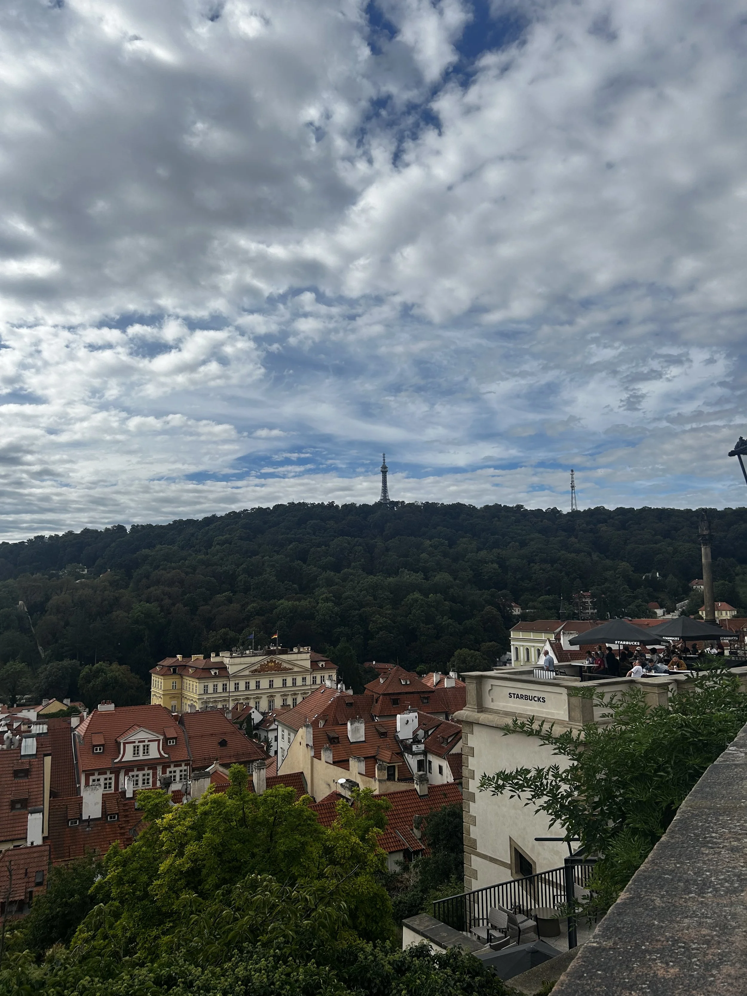 IMG_4833.jpeg