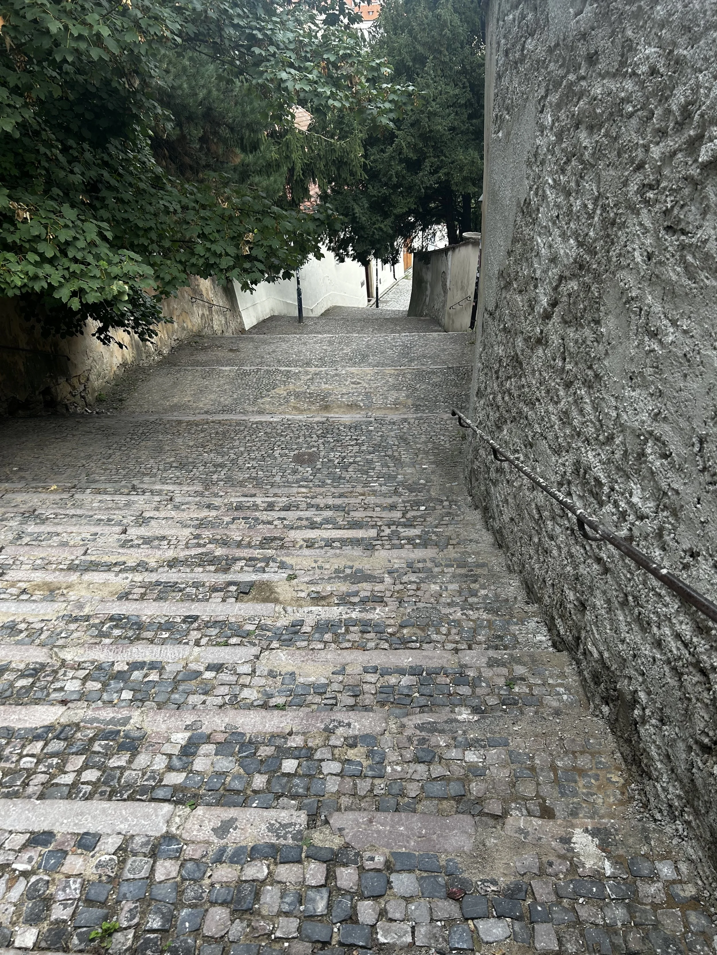 IMG_4824.jpeg