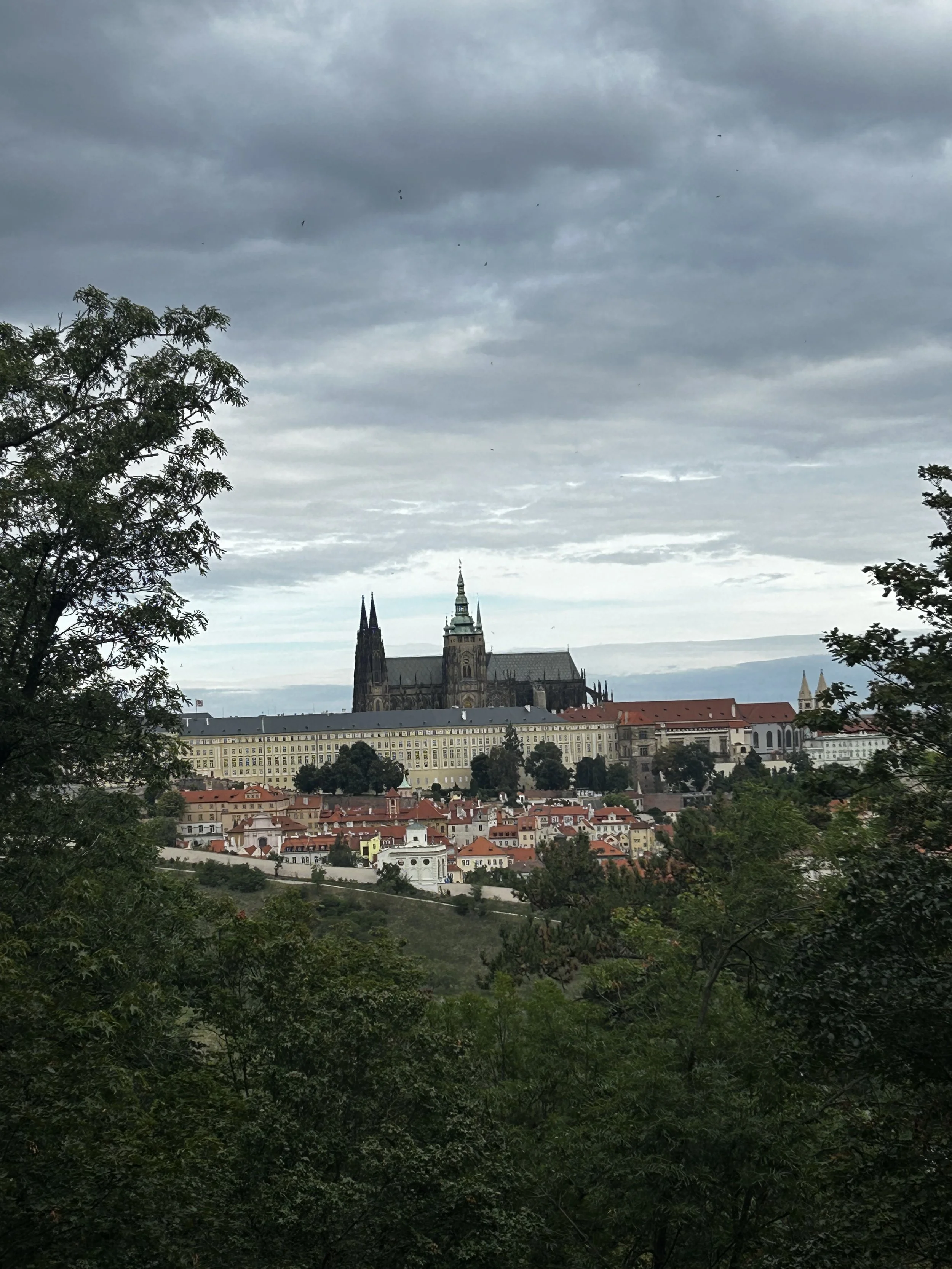 IMG_4820.jpeg