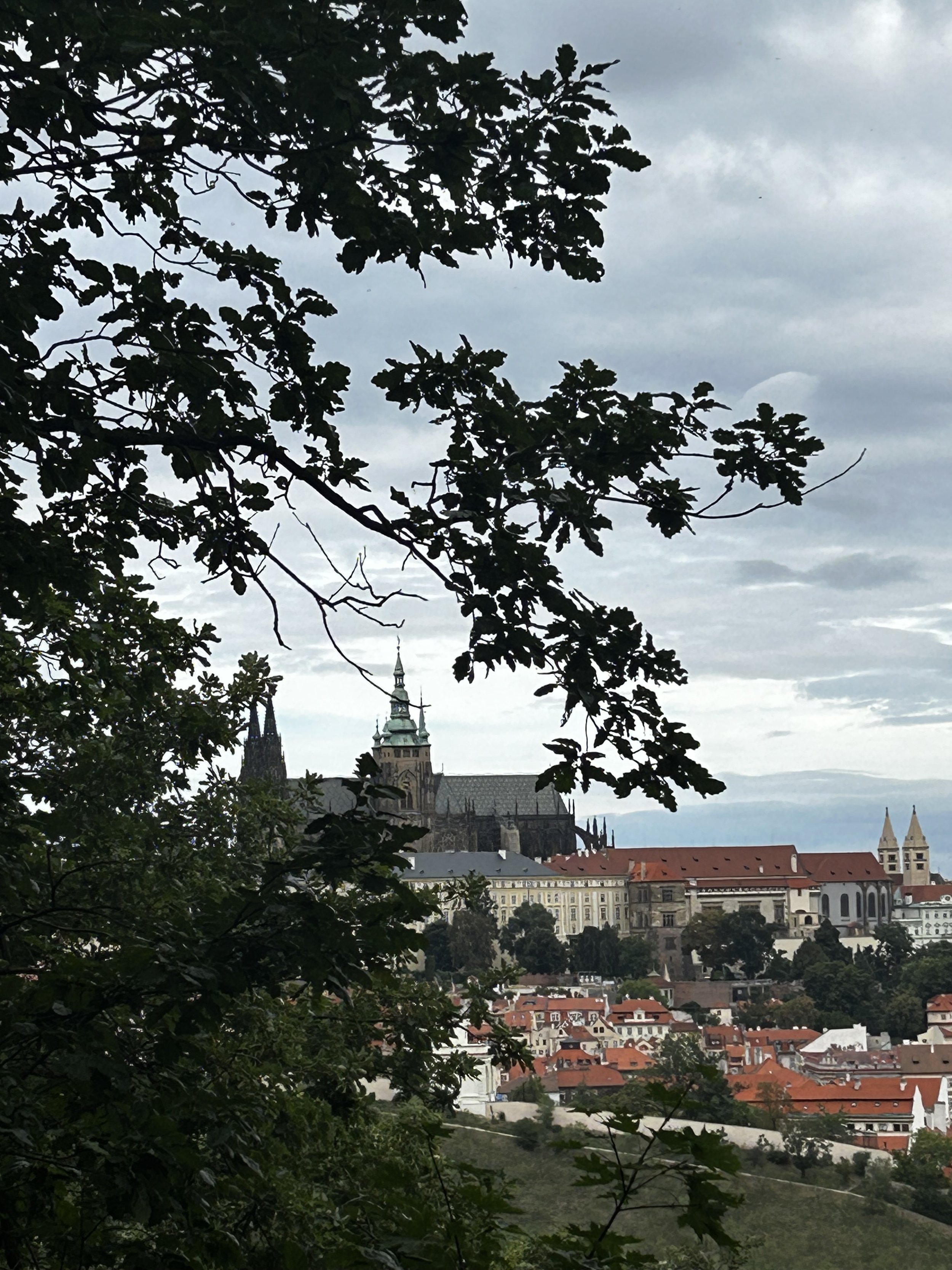 IMG_4817.jpeg