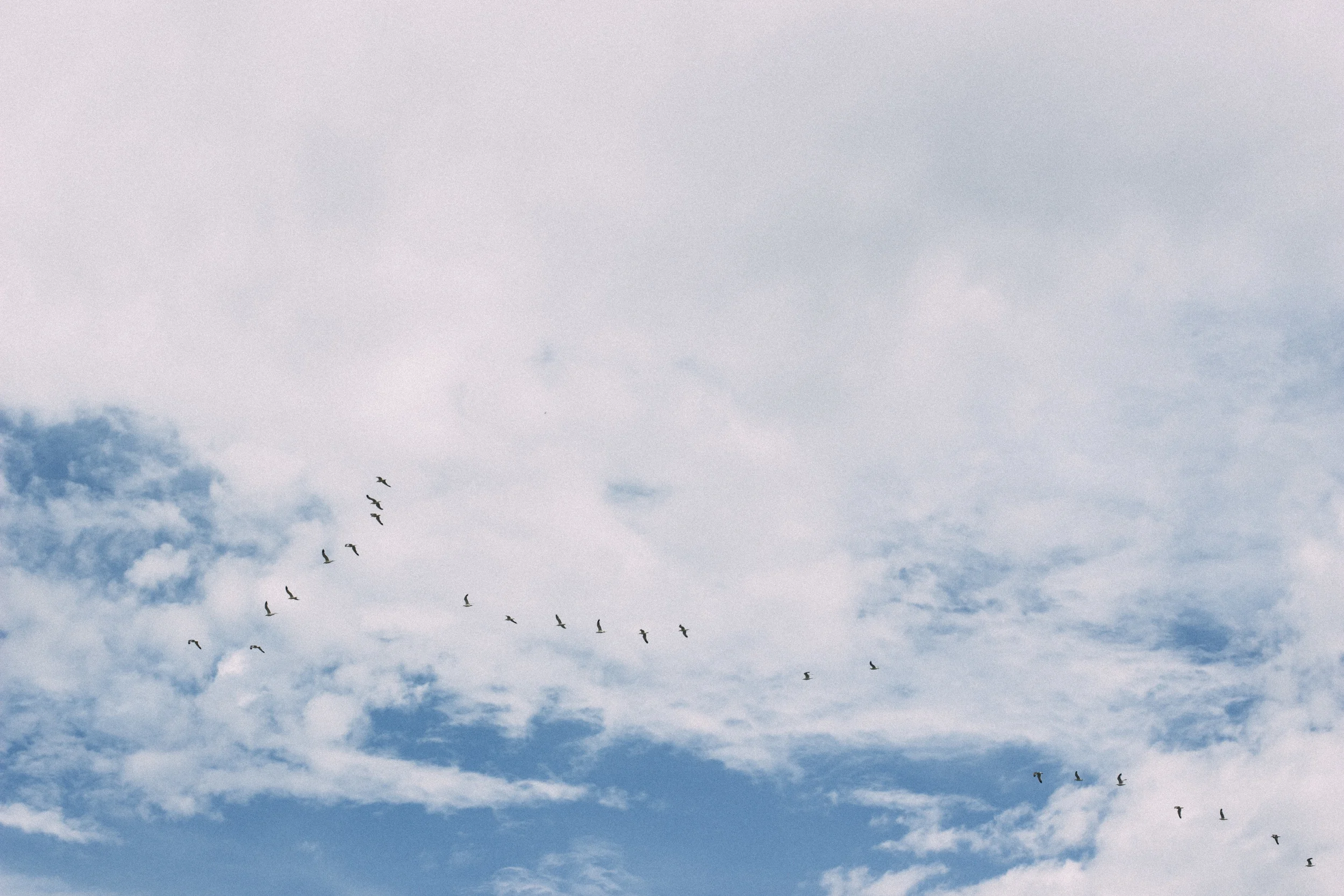 071514_9631.jpg