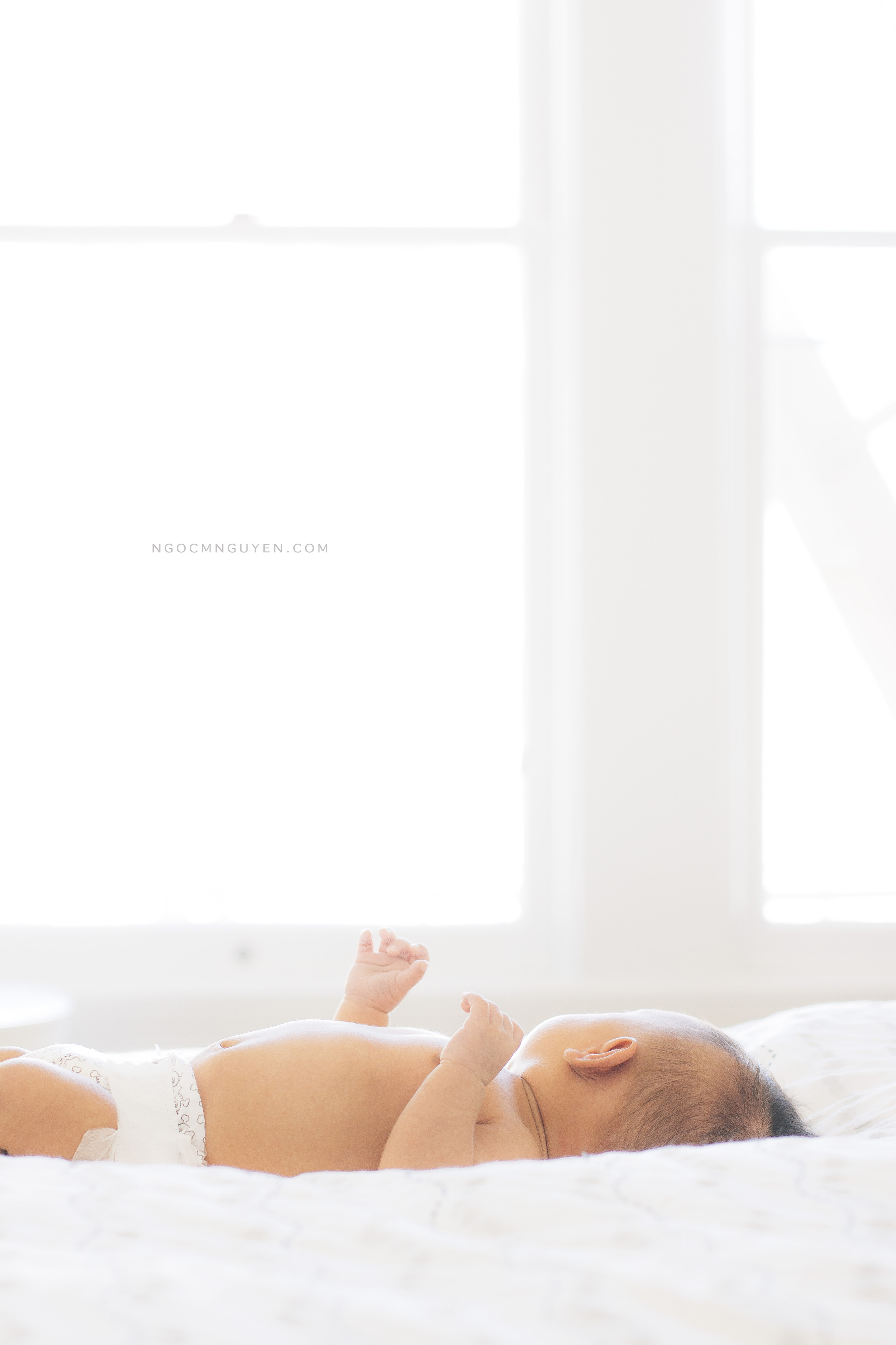 Baby To's First Photoshoot