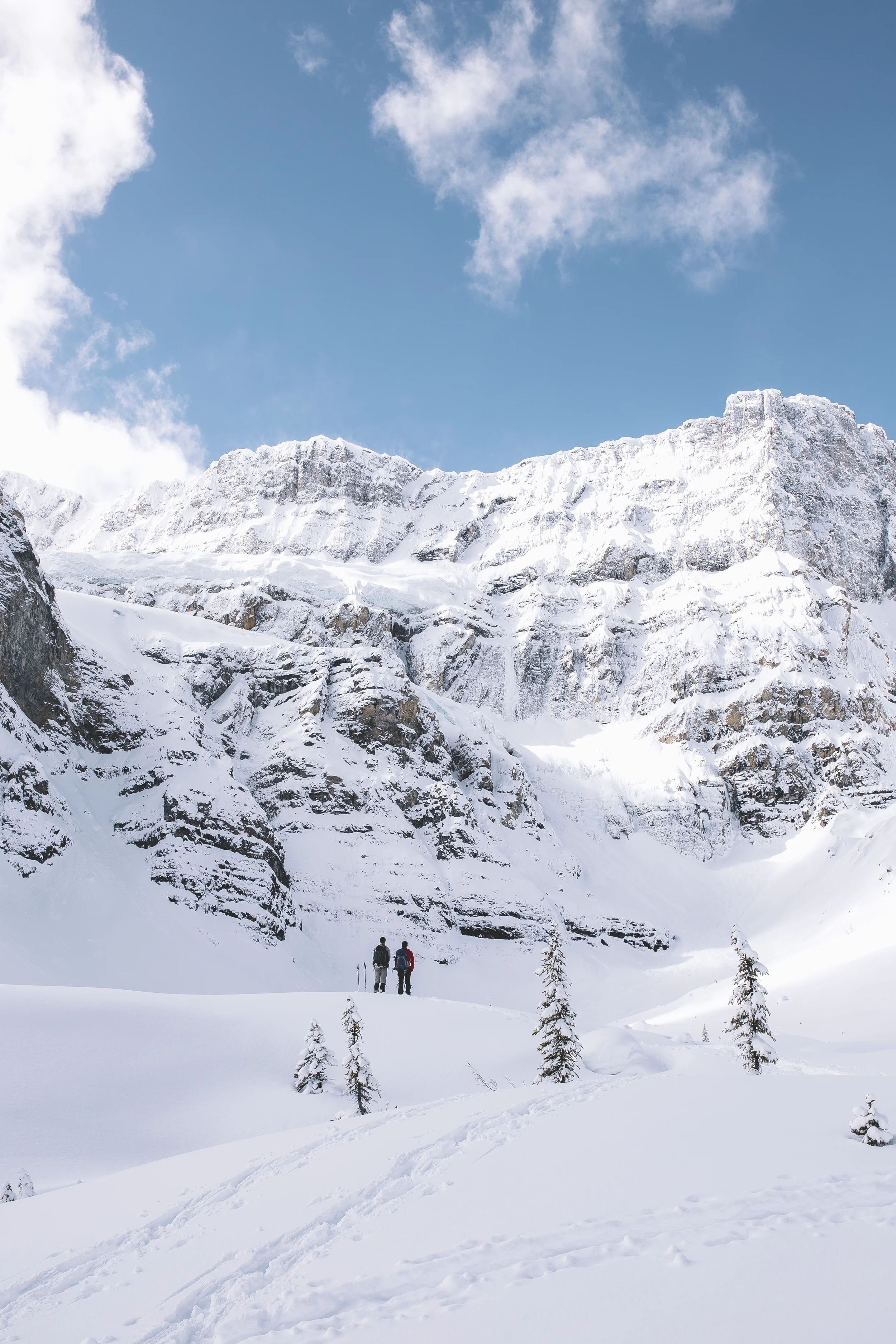 The Canadian Rockies