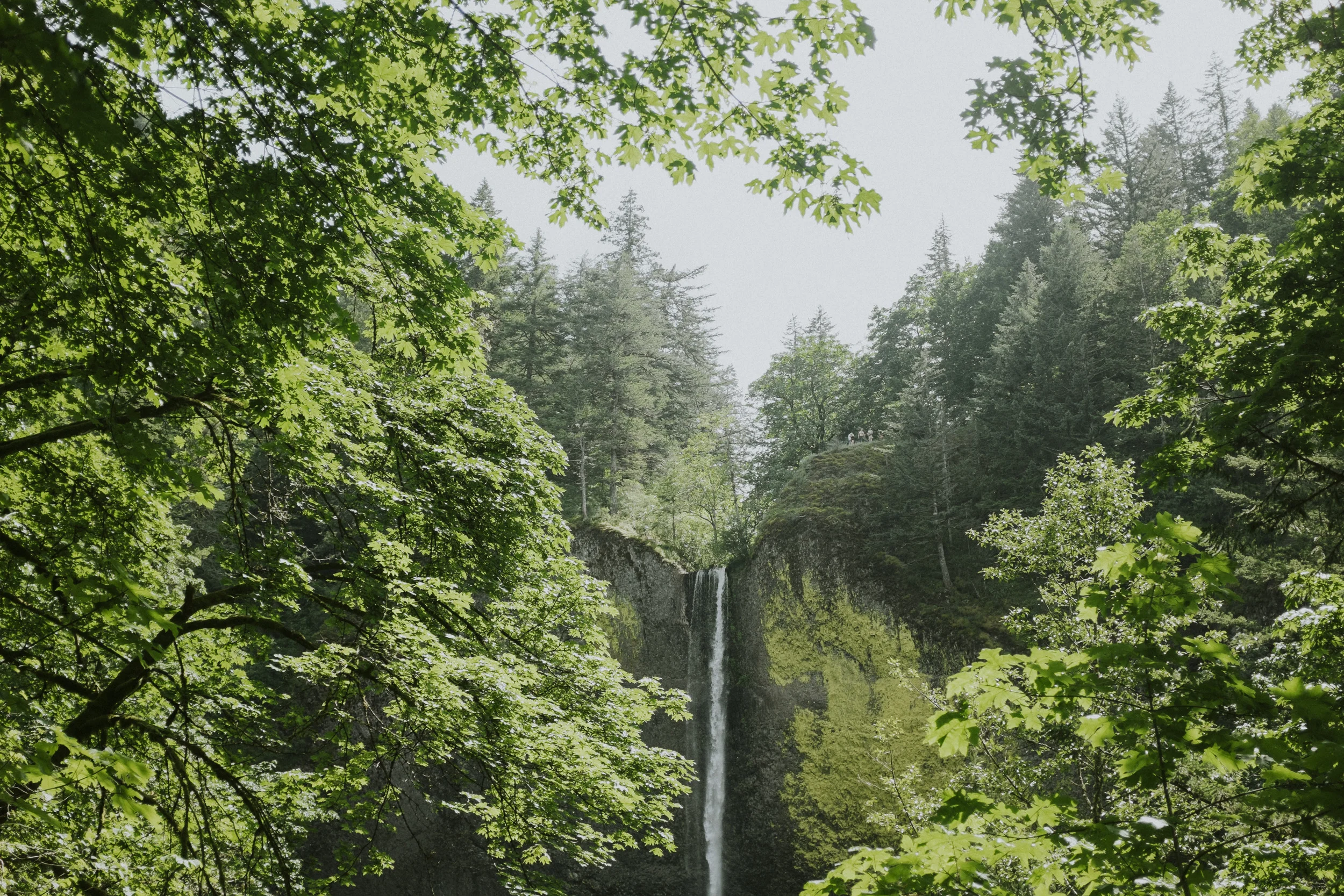 Long Weekend in Oregon