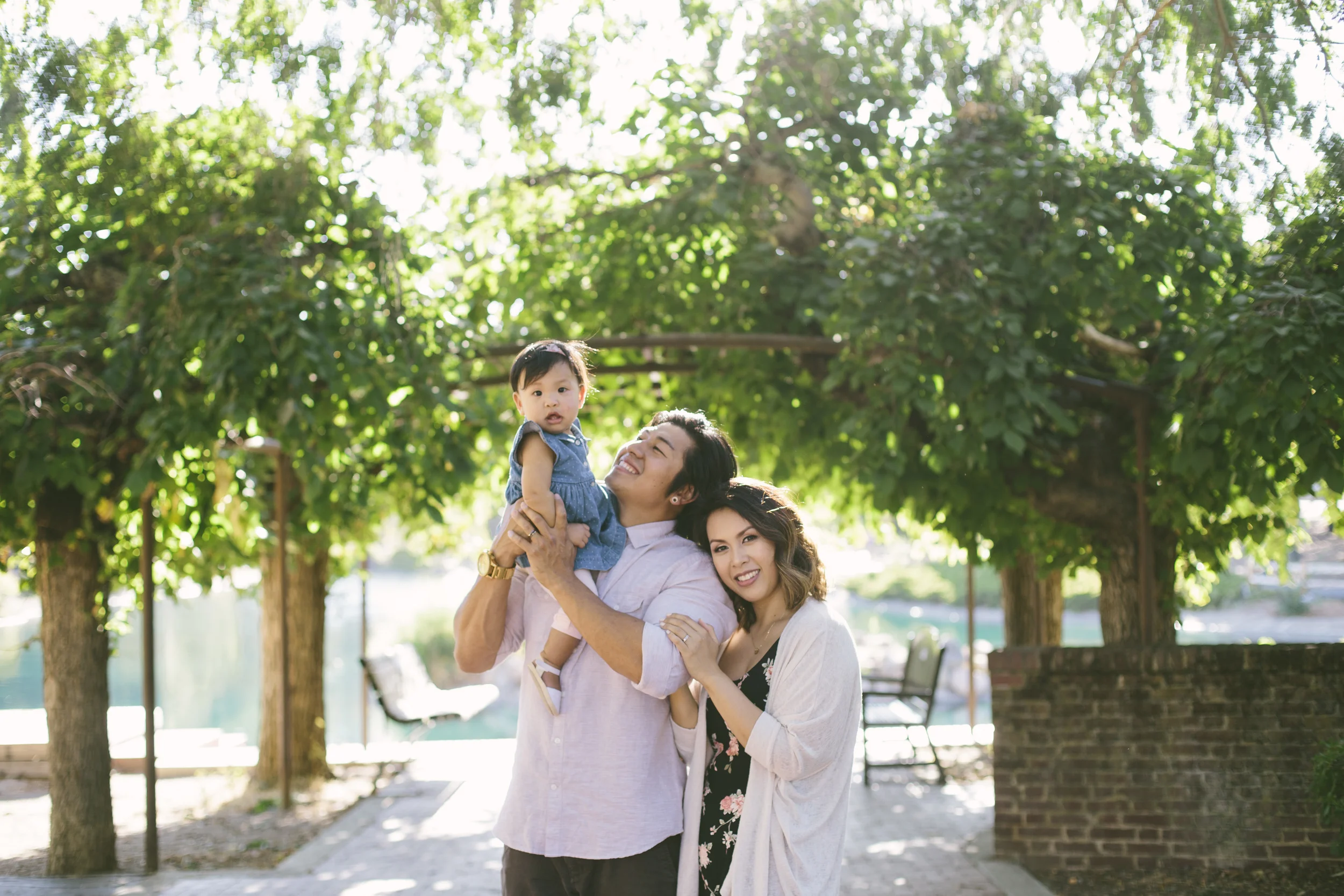 Ohana's First Year