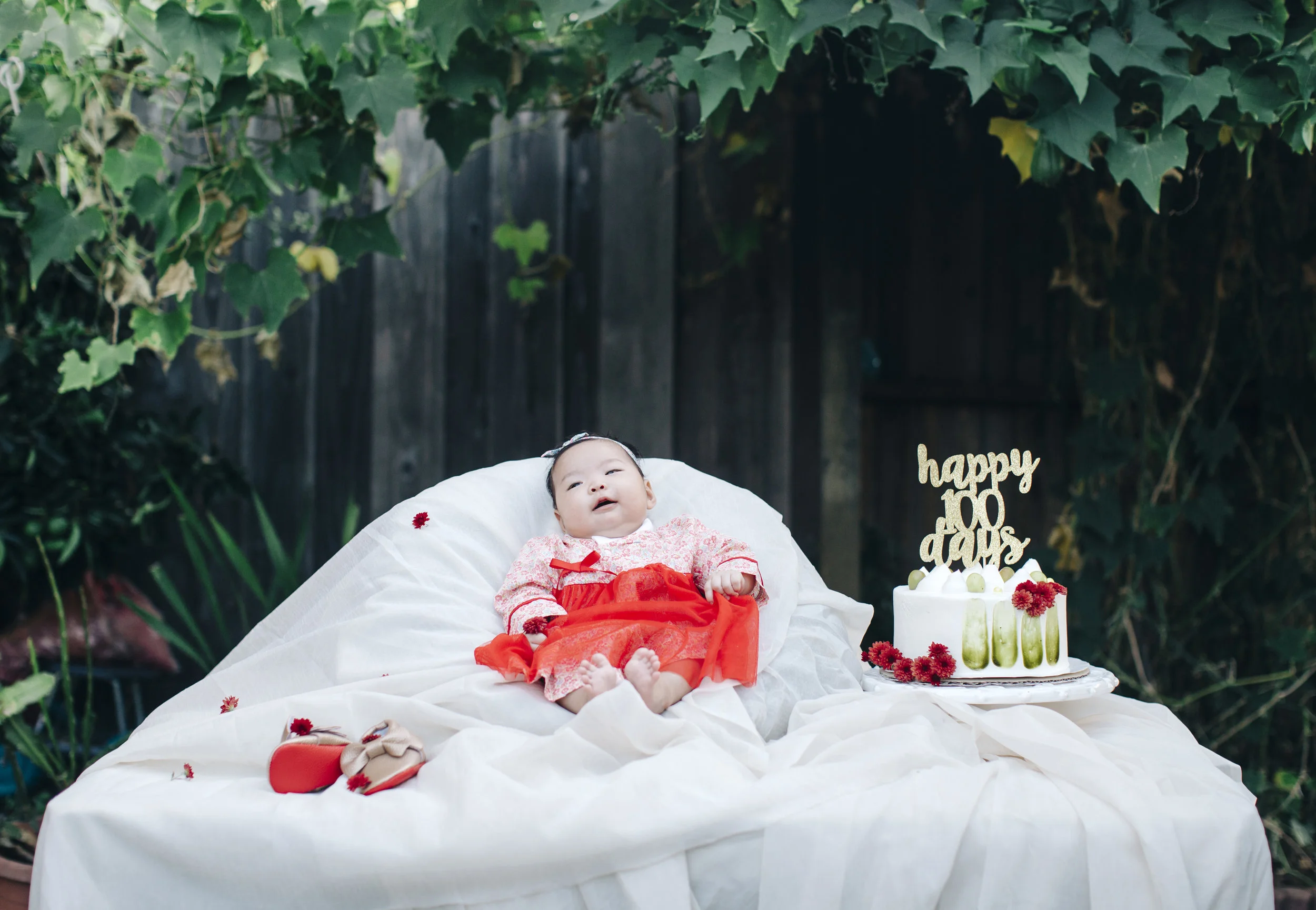 100 Days of Cuteness