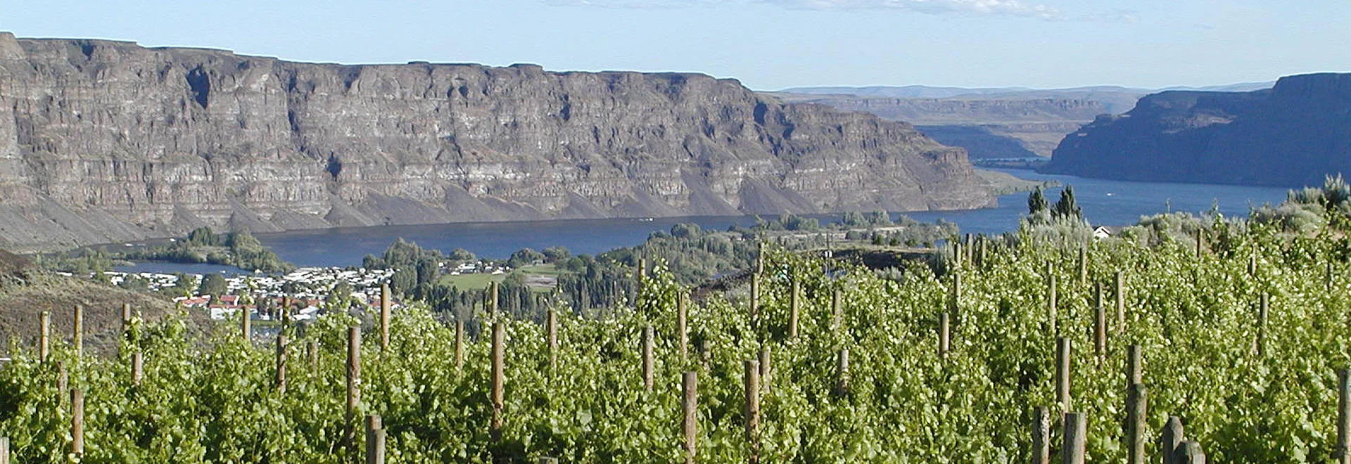 Wineries — Quincy Valley Chamber of Commerce