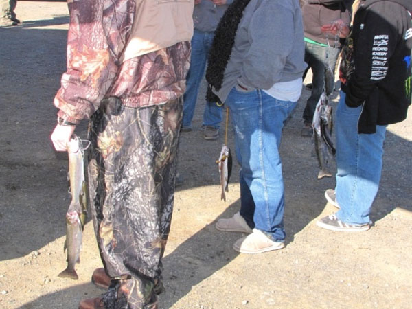 Stringers in line
