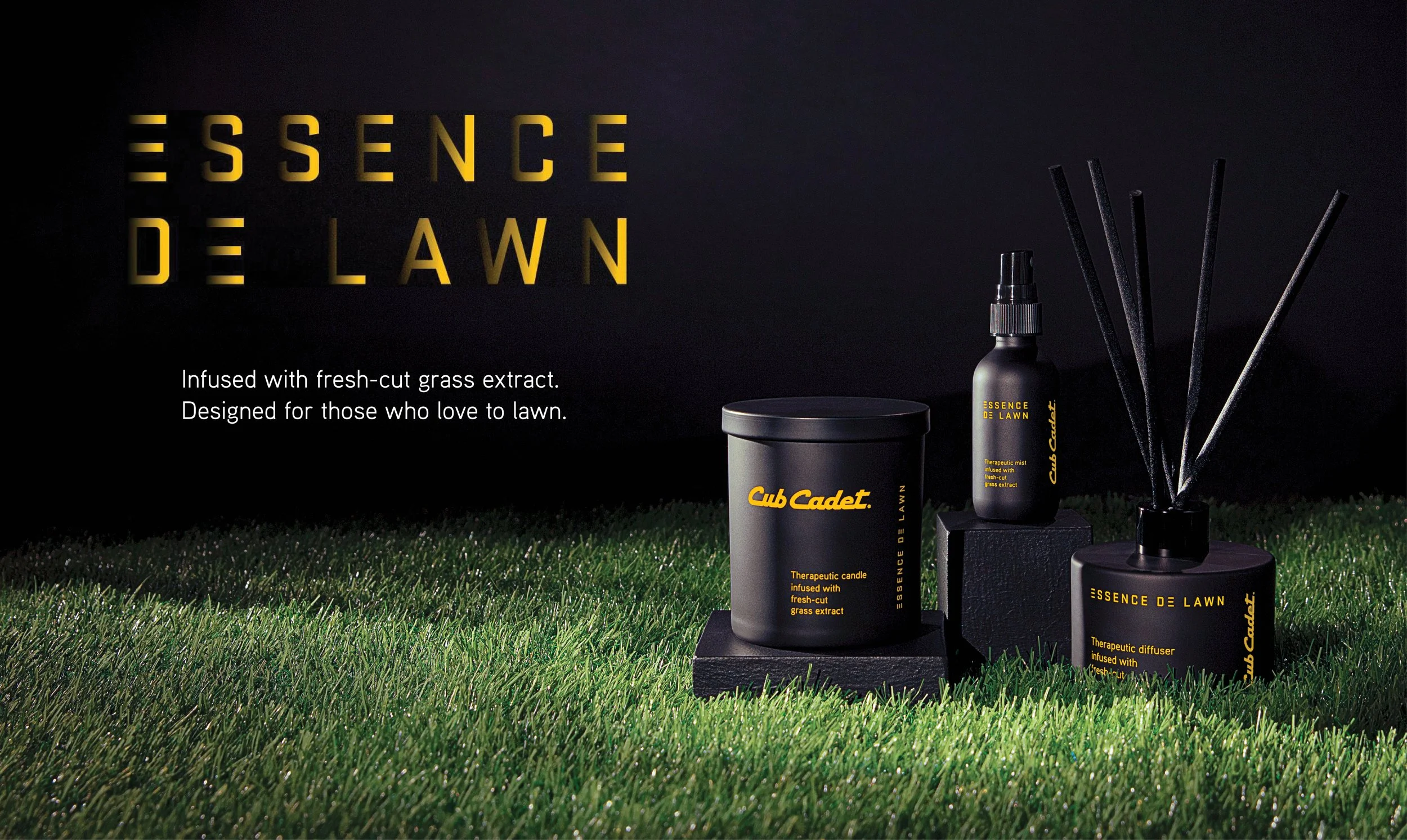 CUB_ESSENCE_Case_Study_V1.jpg